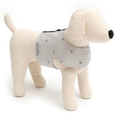 Grey Stars Soft Dog Harness | Mutts and Hounds